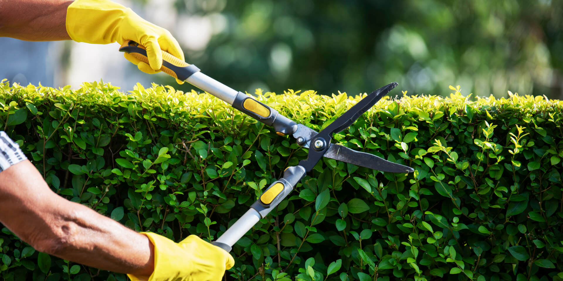 Greencraft Landscaping Home Banner 01