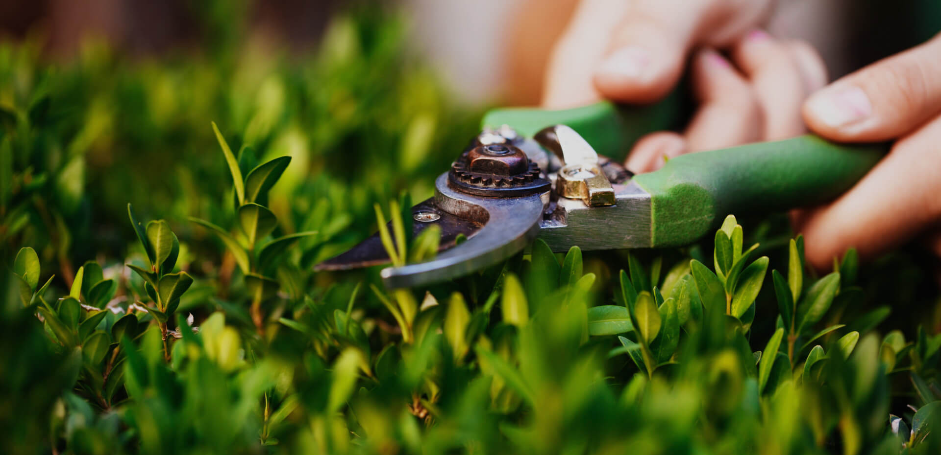 Greencraft Landscaping Home Banner 02