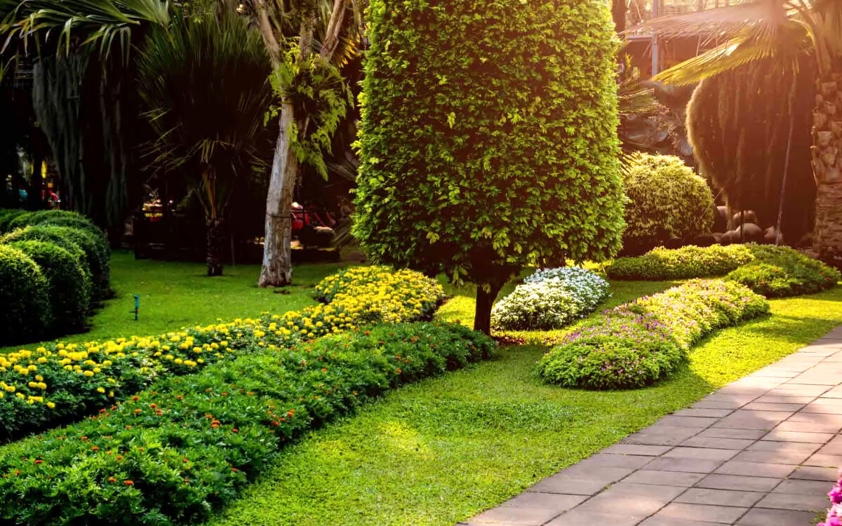 Greencraft Project Image 5