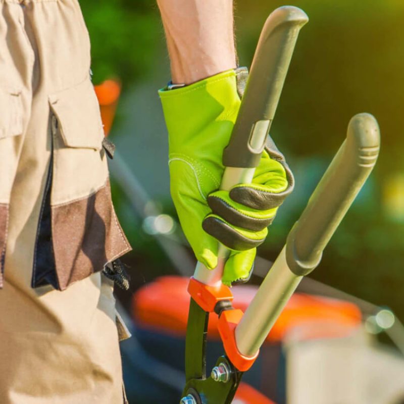 Greencraft About Image 01