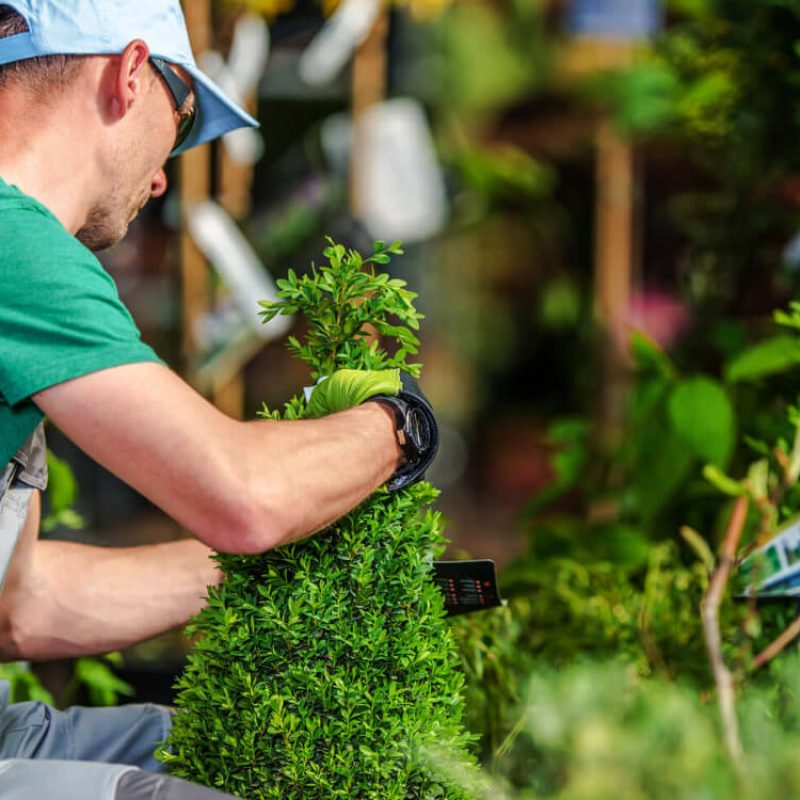 Greencraft About Image 02