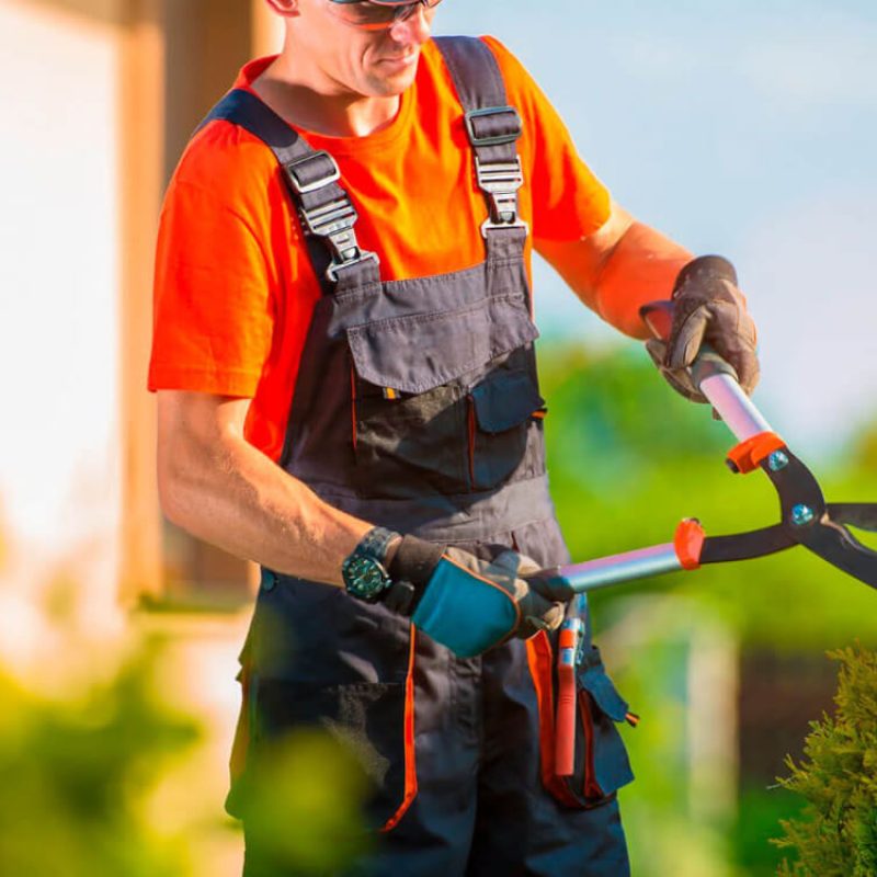 Greencraft About Image 04