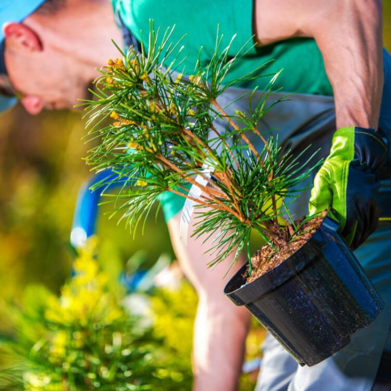 Greencraft Project Image 3