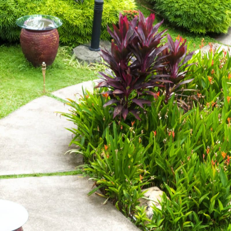 Greencraft Project Image 4