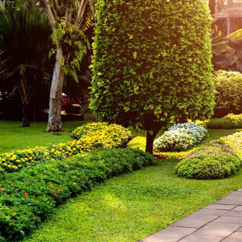 Greencraft Project Image 5