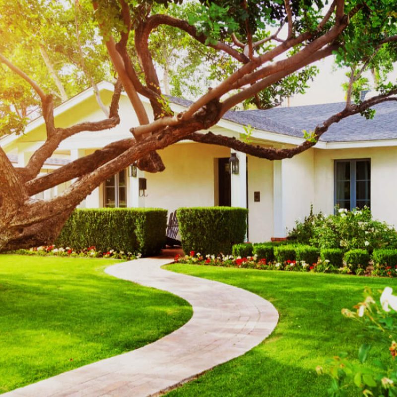 Greencraft Project Image 6