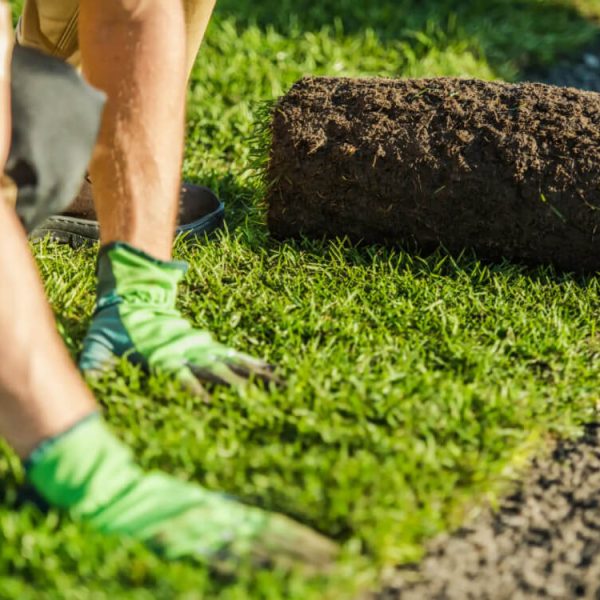 Greencraft Sod Installation