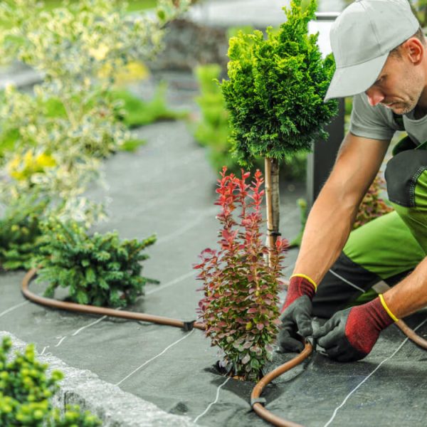 Greencraft Sprinkler Installation